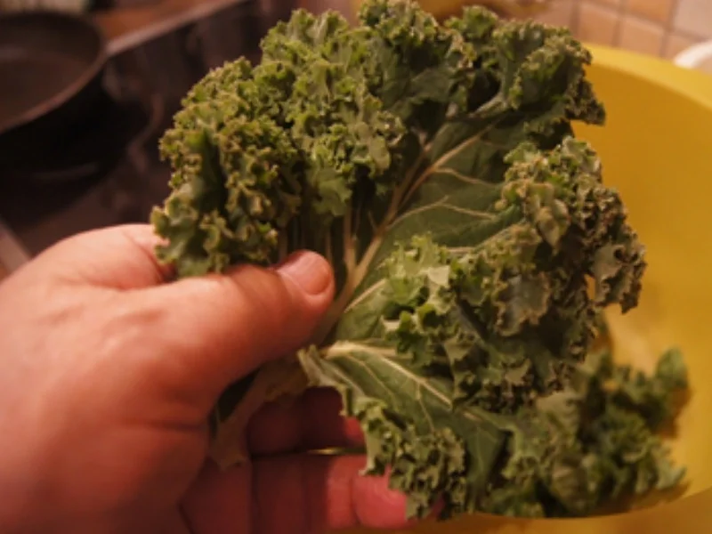 Brauner Kohl 2024 mit deftiger Beilage und Salzkartoffeln - Rezept - Bild Nr. 16902