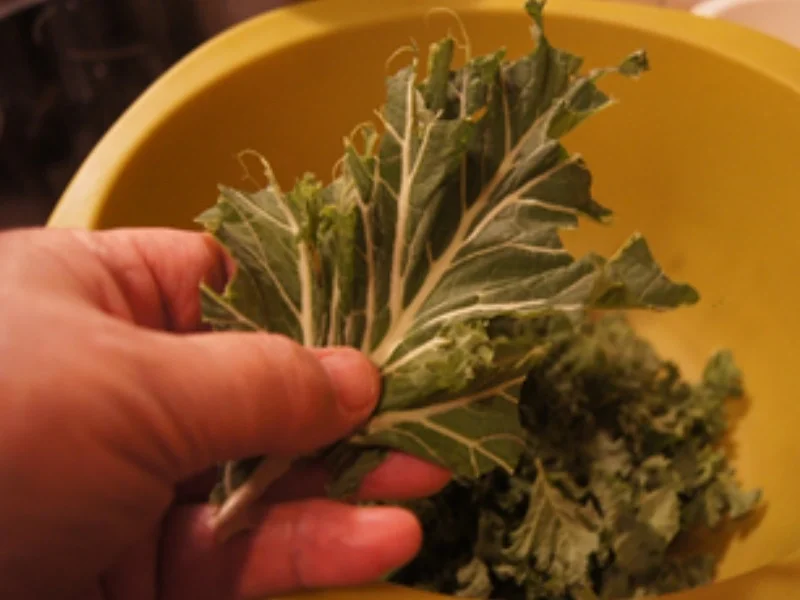 Brauner Kohl 2024 mit deftiger Beilage und Salzkartoffeln - Rezept - Bild Nr. 16903