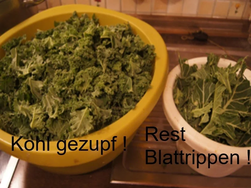 Brauner Kohl 2024 mit deftiger Beilage und Salzkartoffeln - Rezept - Bild Nr. 16904