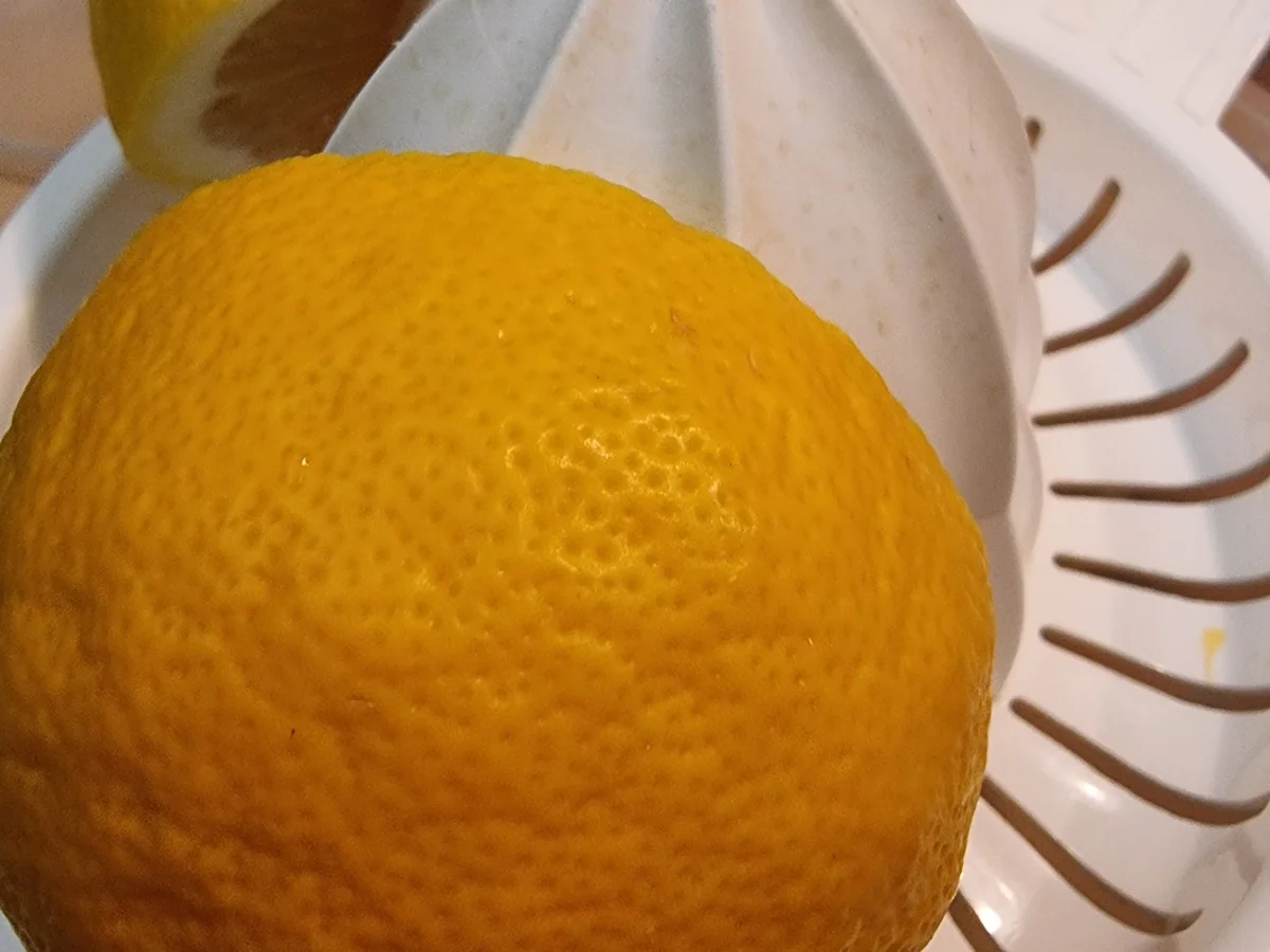 Rezept: Möhren-Zitronen-Suppe mit Möhrengrün-Pesto Bild Nr. 16908 Möhren-Zitronen-Suppe mit Möhrengrün-Pesto - Rezept - Bild Nr. 16908