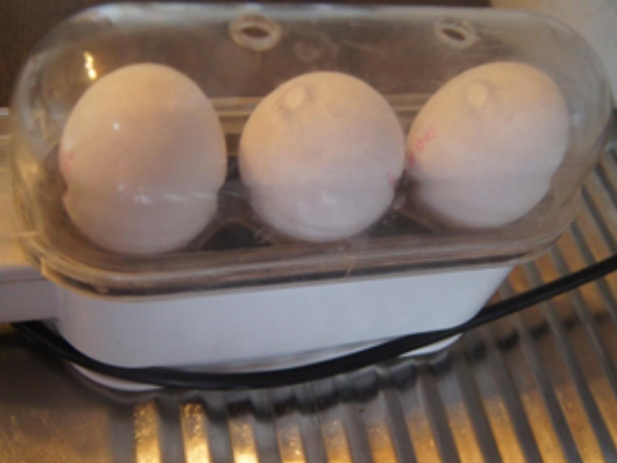 Gekochte Eier auf Rahm-Steinpilzen mit Basmatireis - Rezept - Bild Nr. 16906