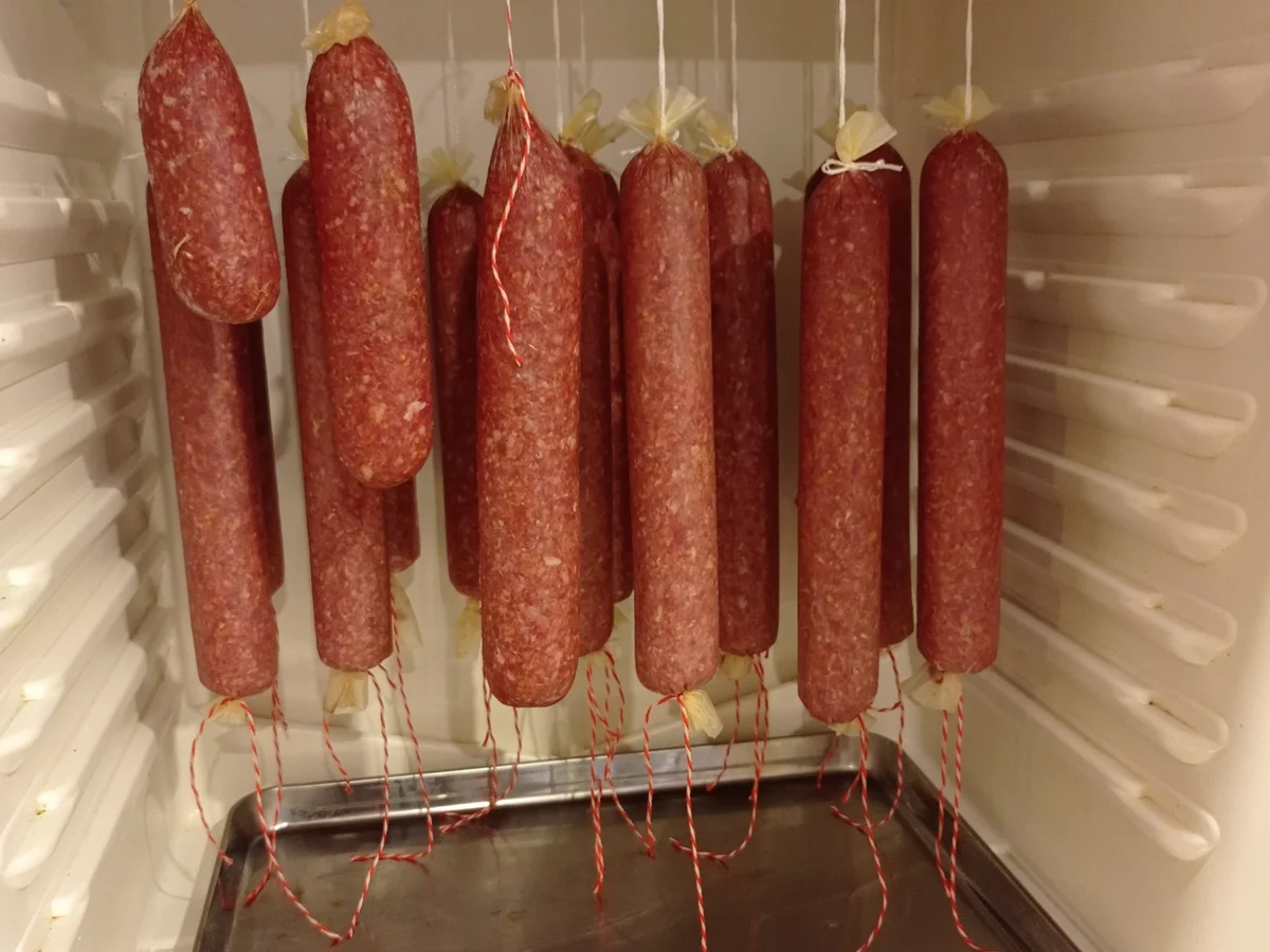 Salami - Rezept - Bild Nr. 16910