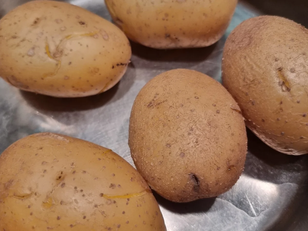 Rezept: Wildlachsfilet mit Kartoffelkruste auf Spinat Bild Nr. 16932 Wildlachsfilet mit Kartoffelkruste auf Spinat - Rezept - Bild Nr. 16932