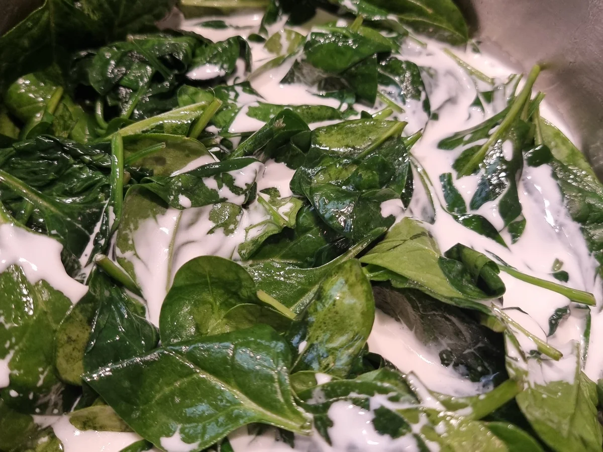 Rezept: Wildlachsfilet mit Kartoffelkruste auf Spinat Bild Nr. 16944 Wildlachsfilet mit Kartoffelkruste auf Spinat - Rezept - Bild Nr. 16944