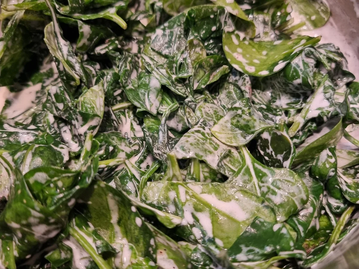 Rezept: Wildlachsfilet mit Kartoffelkruste auf Spinat Bild Nr. 16945 Wildlachsfilet mit Kartoffelkruste auf Spinat - Rezept - Bild Nr. 16945