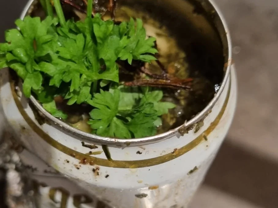 Besoffenes Grillhuhn - Rezept - Bild Nr. 3