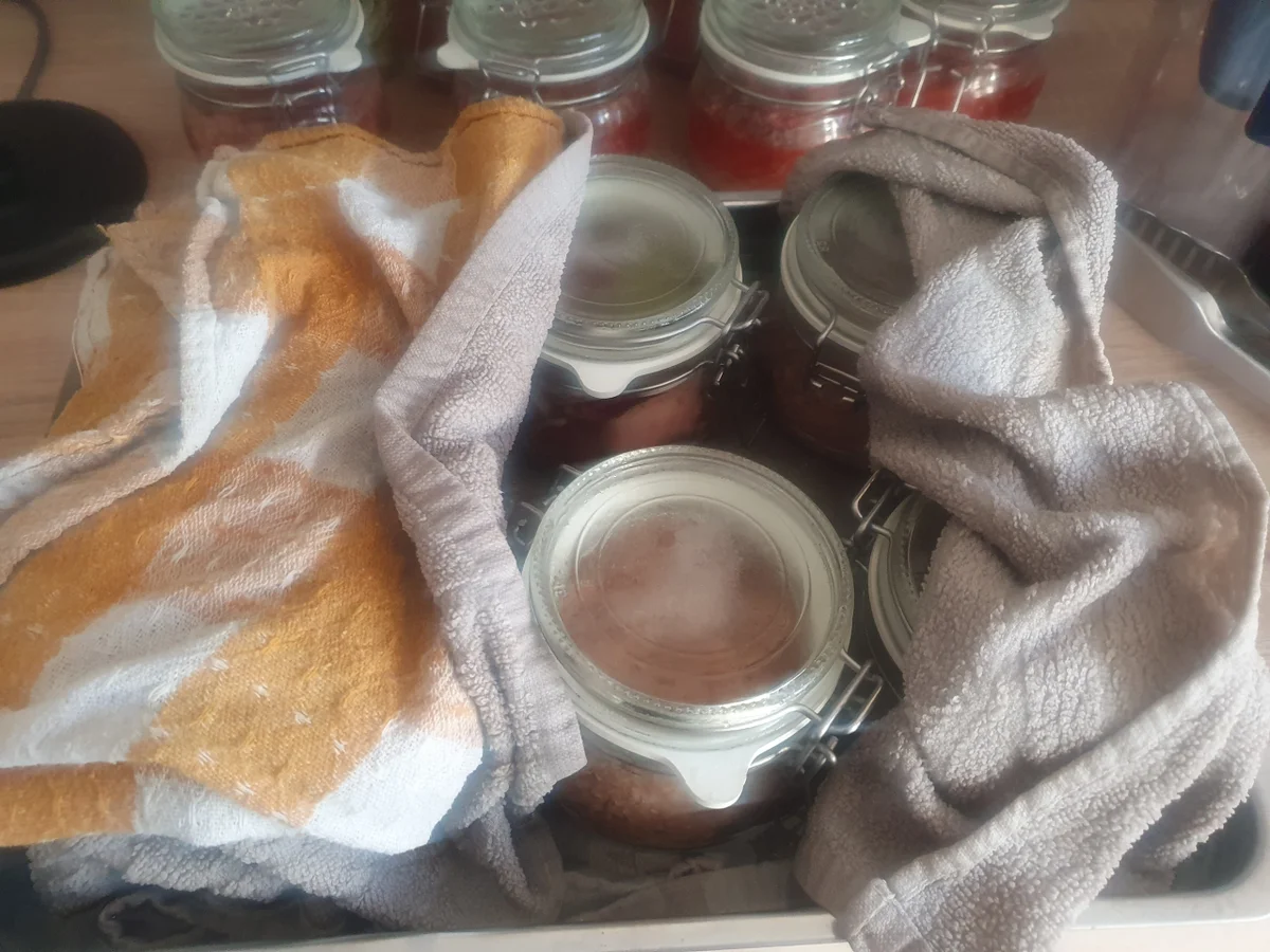 Mett eingekocht - Rezept - Bild Nr. 16933