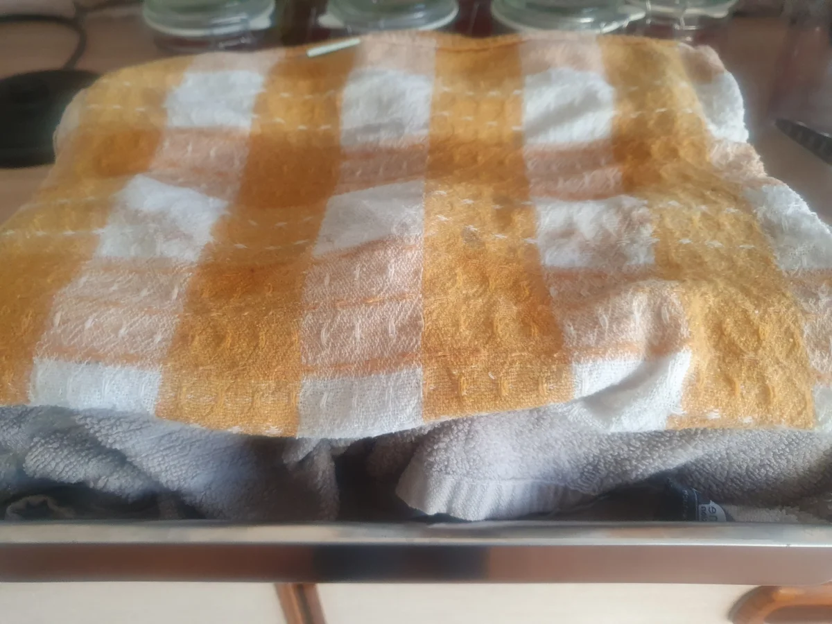 Mett eingekocht - Rezept - Bild Nr. 16934