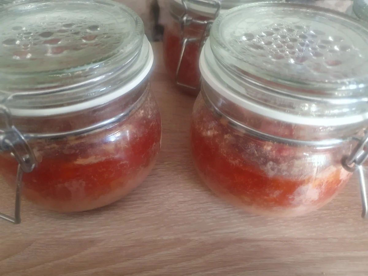 Mett eingekocht - Rezept - Bild Nr. 16936