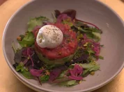 Rezept: Avocado- und Tomaten-Tatar mit Burrata und Mango-Balsamico Bild Nr. 16934 Avocado- und Tomaten-Tatar mit Burrata und Mango-Balsamico - Rezept - Bild Nr. 16934