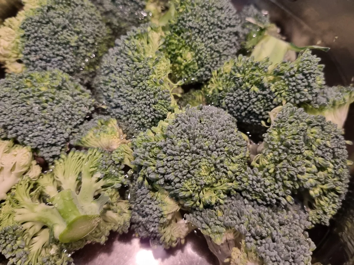 Rezept: Brokkoli-Käse-Muffins Bild Nr. 16939 Brokkoli-Käse-Muffins - Rezept - Bild Nr. 16939