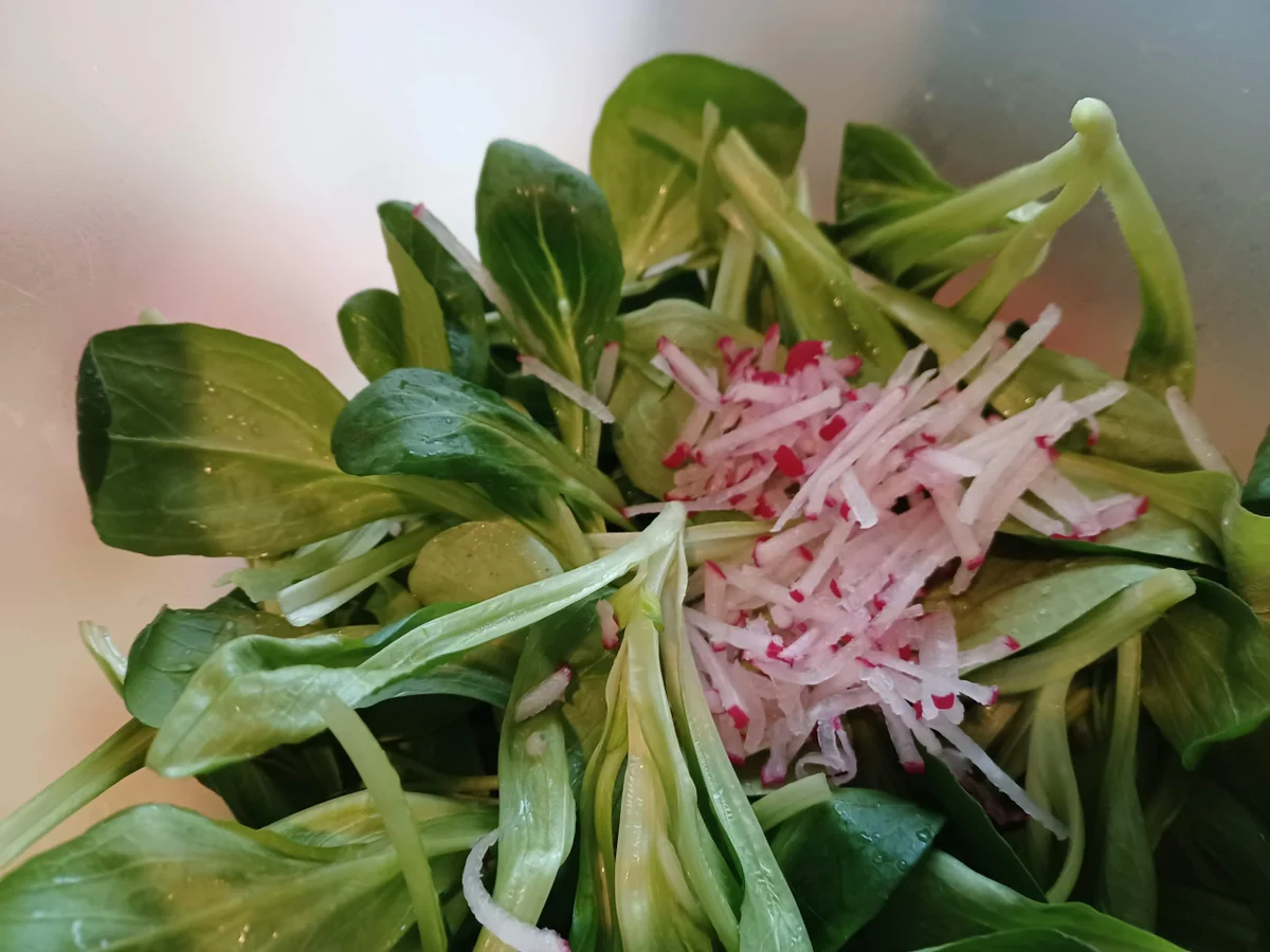 Salat als Hauptspeise oder Beilage - Rezept - Bild Nr. 16941