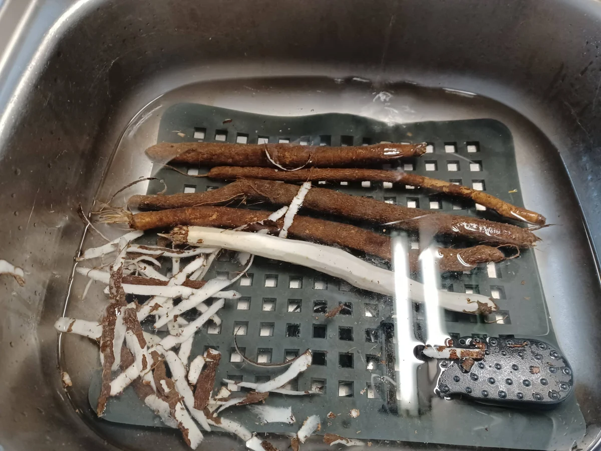 Nudeln mit Schwarzwurzeln in Sahnesoße - Rezept - Bild Nr. 16946