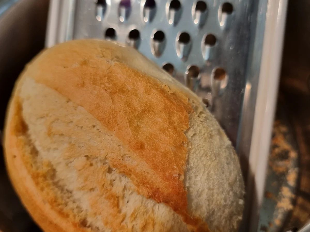 Fenchel-Grapefruit-Nudeln - Rezept - Bild Nr. 16966