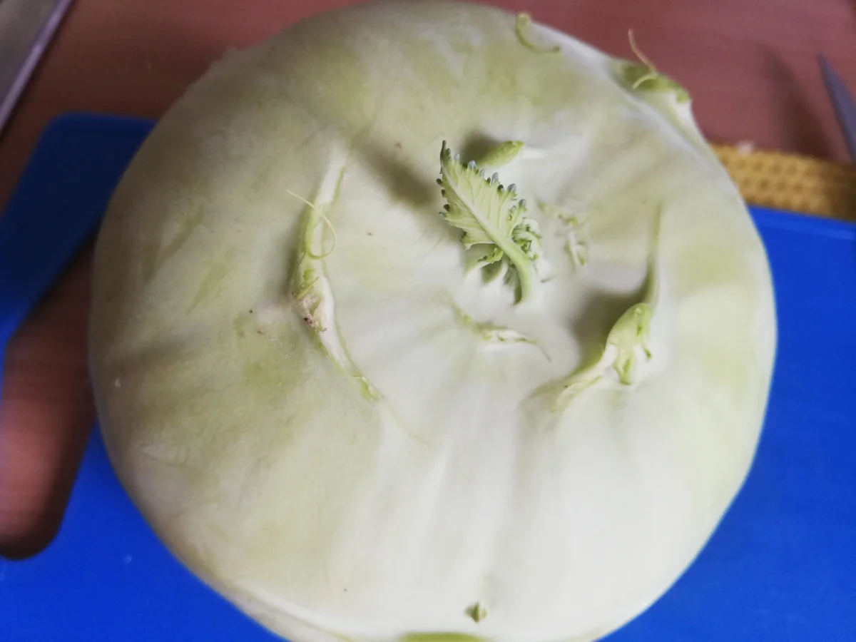 Kohlrabi - Hack - Pfanne - Rezept - Bild Nr. 16954