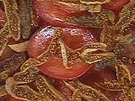 Tomaten-Feigensalat mit Ziegenfrischkäse - Rezept