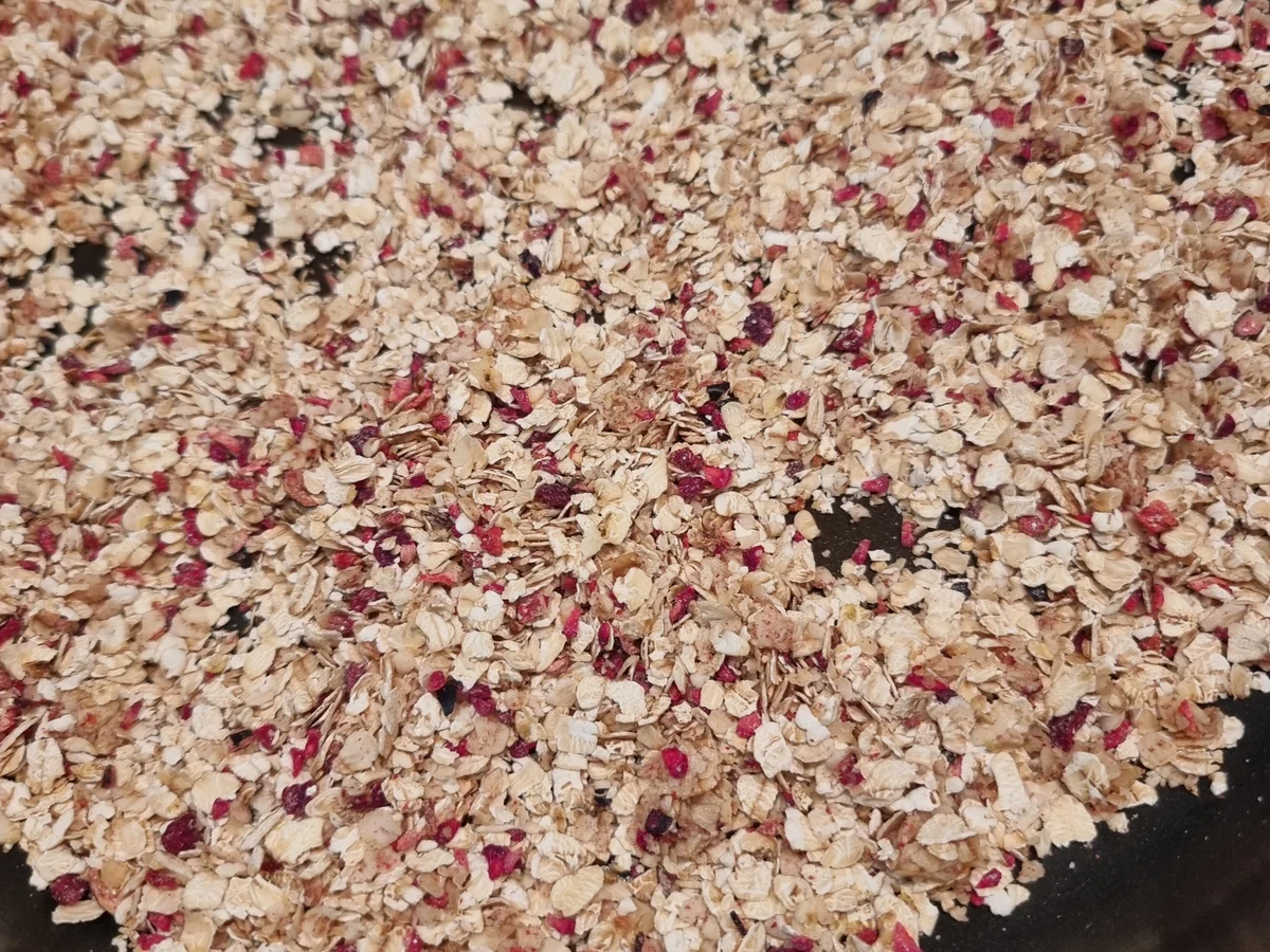 Müsli-Möhren-Kuchen - Rezept - Bild Nr. 16984