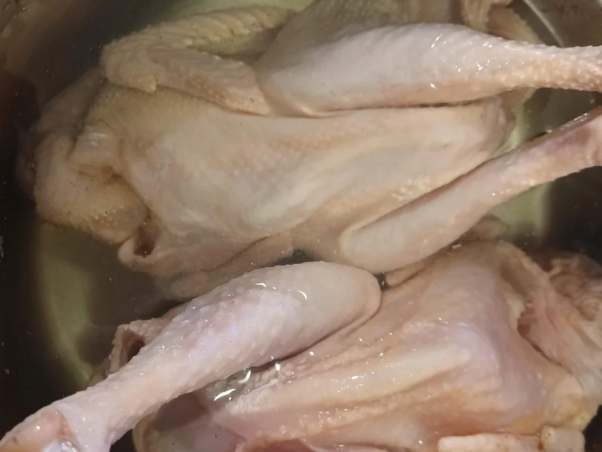 Bunte Geflügel - Sülze - Rezept - Bild Nr. 16984