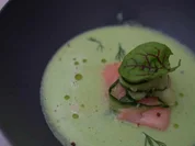 Gurken-Buttermilch-Suppe mit konfierter Lachsforelle - Rezept - Bild Nr. 16981