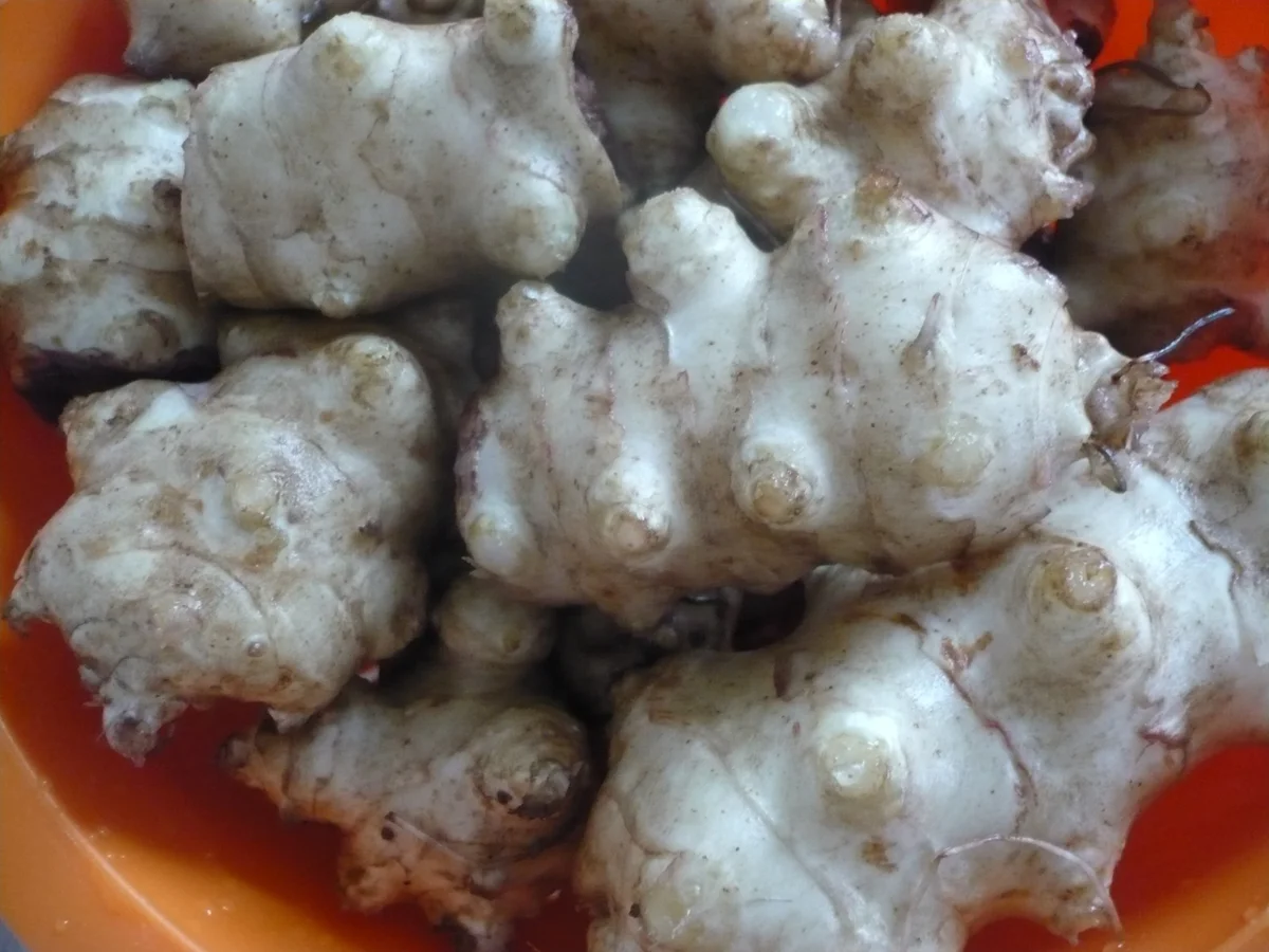 Rezept: Herzhafte Tobinambur - Pfanne Bild Nr. 16981 Herzhafte Tobinambur - Pfanne - Rezept - Bild Nr. 16981