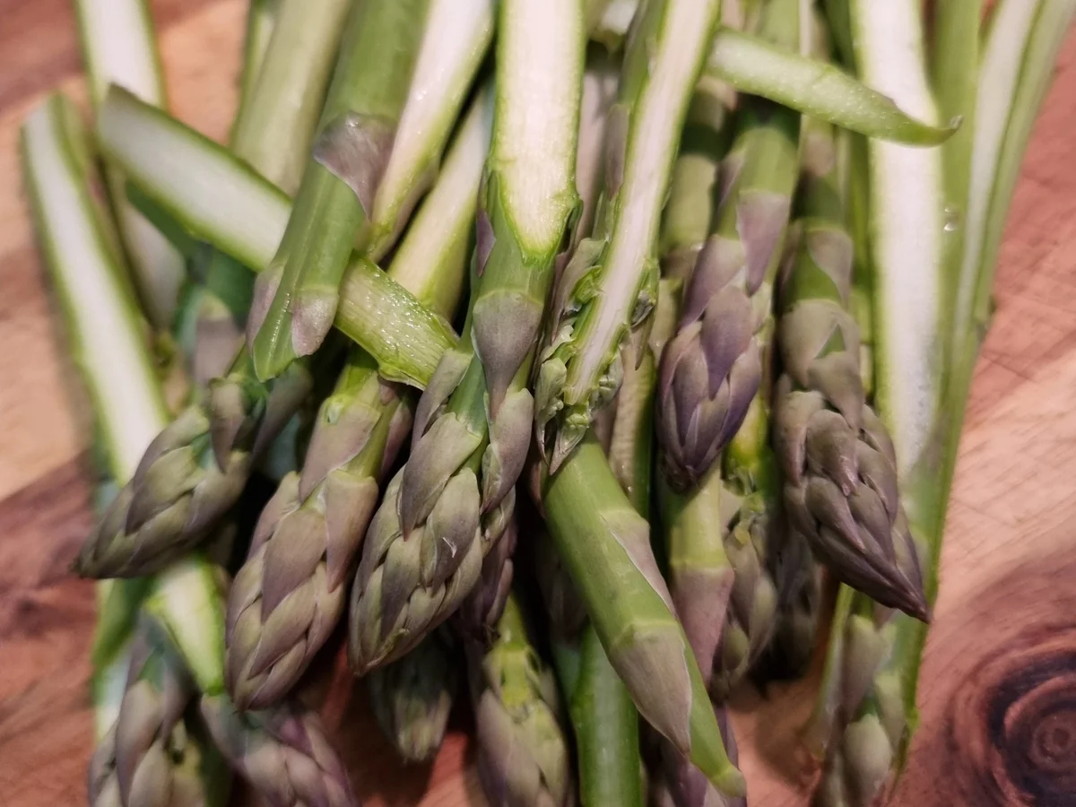 Spargel Carbonara - Rezept - Bild Nr. 16986