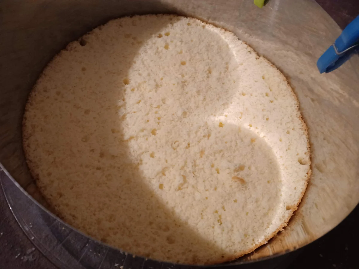 Erdbeer - Sahnetorte - Rezept - Bild Nr. 16992