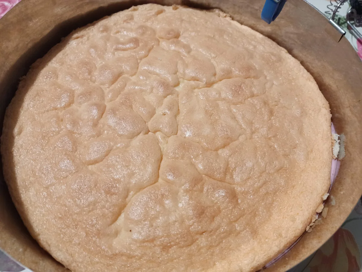 Erdbeer - Sahnetorte - Rezept - Bild Nr. 16995