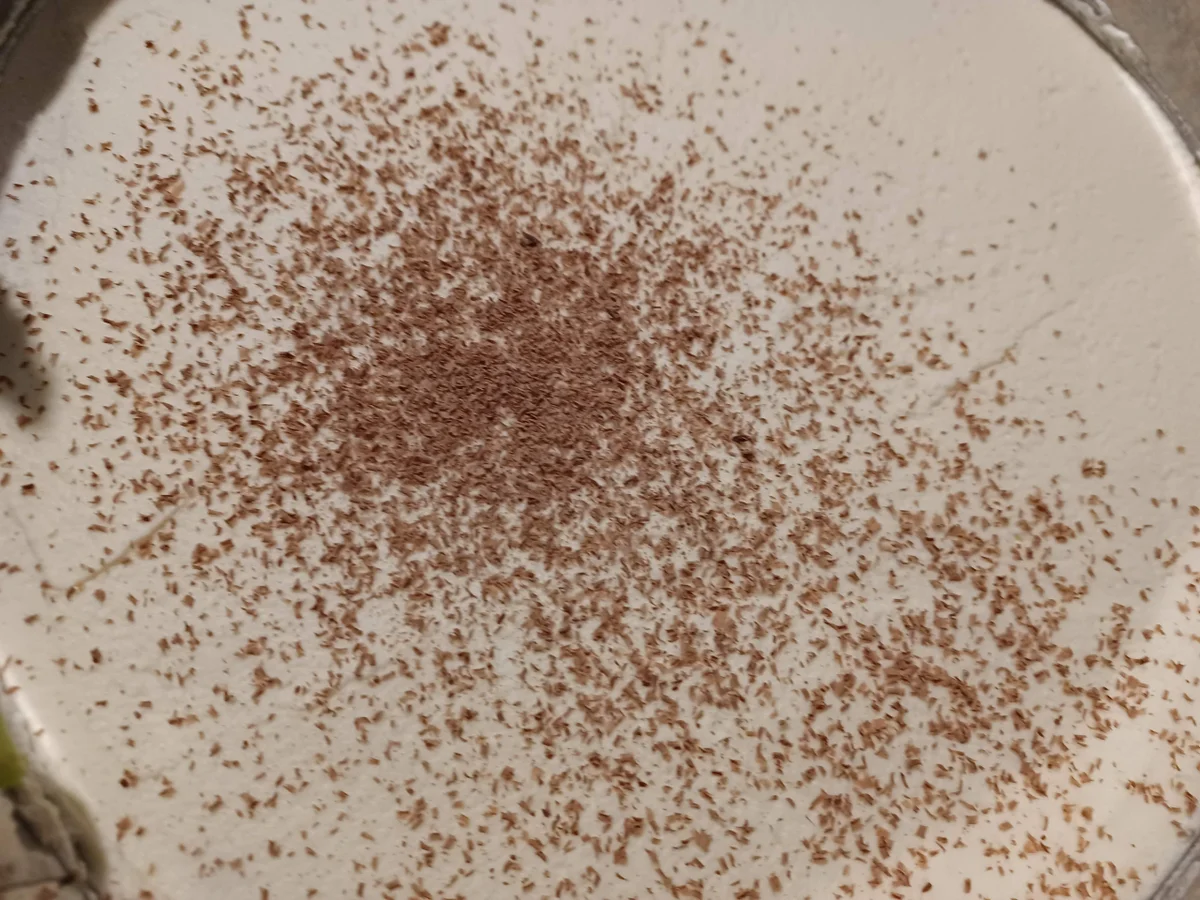 Erdbeer - Sahnetorte - Rezept - Bild Nr. 16996