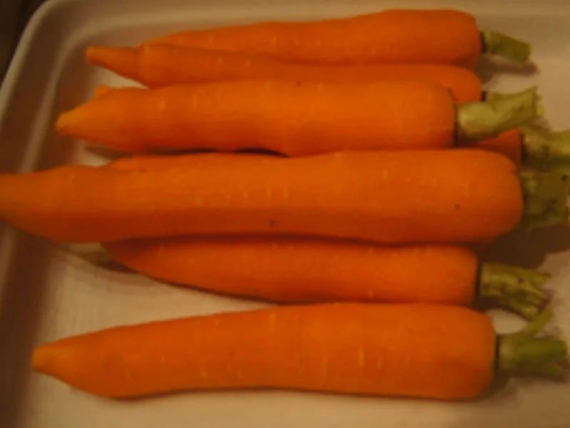 Schweine-Krustenbraten mit würziger Bratensauce, Honig-Bundmöhren und Mini-Kartoffelknödel - Rezept - Bild Nr. 16