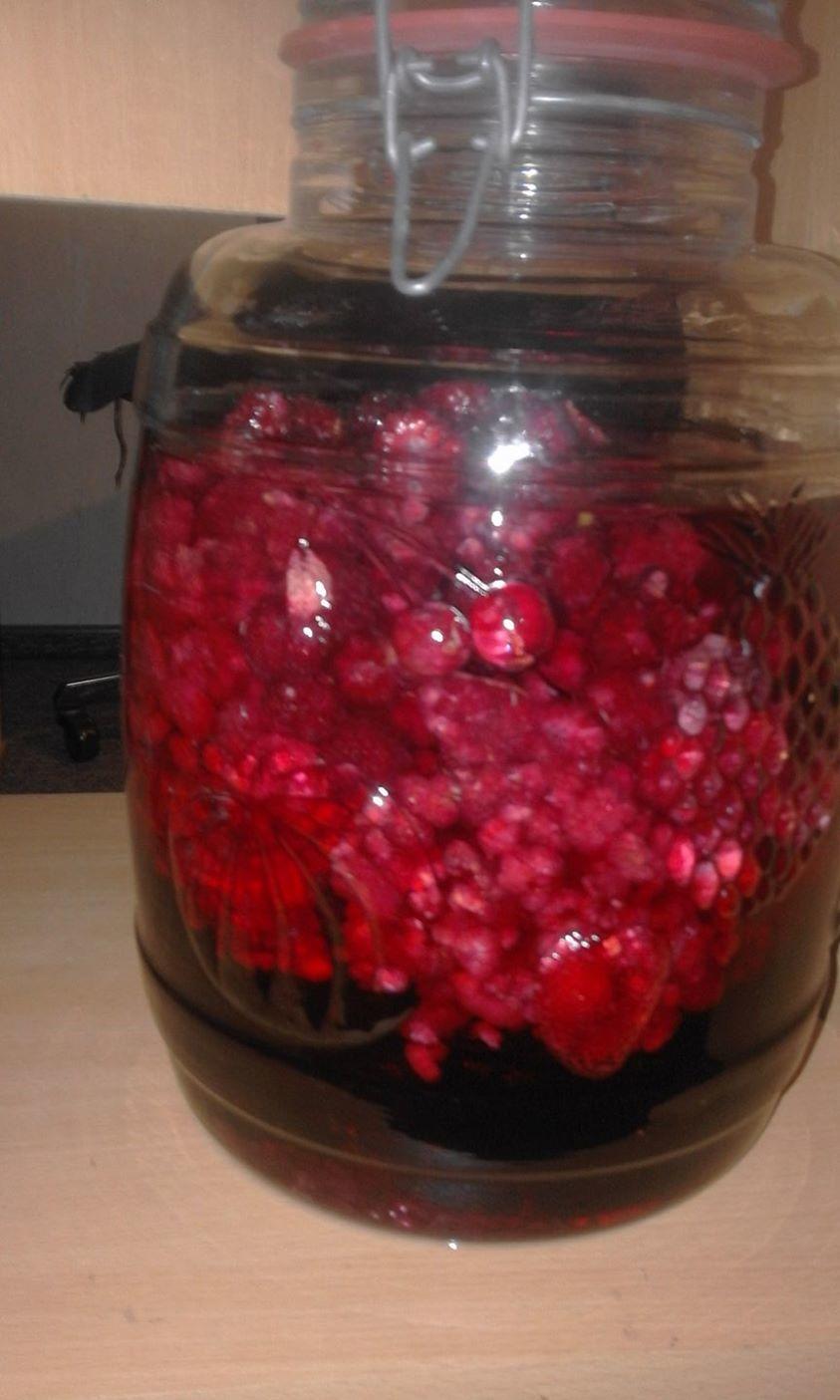 Himbeerlikör - Rezept mit Bild - kochbar.de