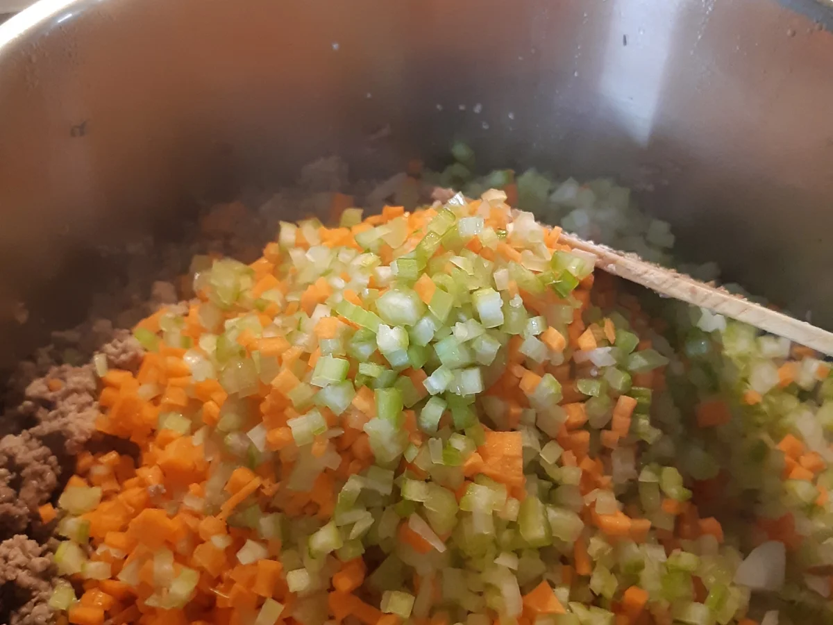 Bolognese-Sauce - Rezept - Bild Nr. 17011
