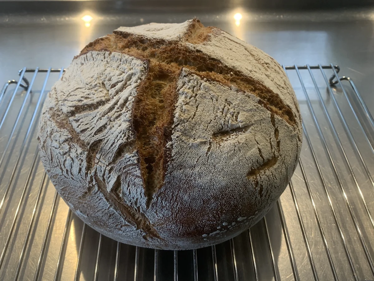 Rezept: Ingwer Brot Bild Nr. 17011 Ingwer Brot - Rezept - Bild Nr. 17011