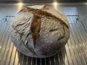 Rezept: Ingwer Brot Bild Nr. 17011 Ingwer Brot - Rezept - Bild Nr. 17011