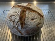 Ingwer Brot - Rezept - Bild Nr. 17011