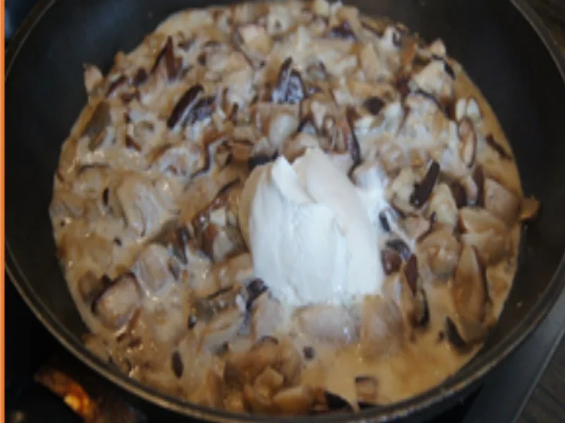 Rahmgeschnetzeltes mit Steinpilzen und Fussili - Rezept - Bild Nr. 17013