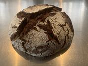 Guiness Walnussbrot - Rezept - Bild Nr. 17013
