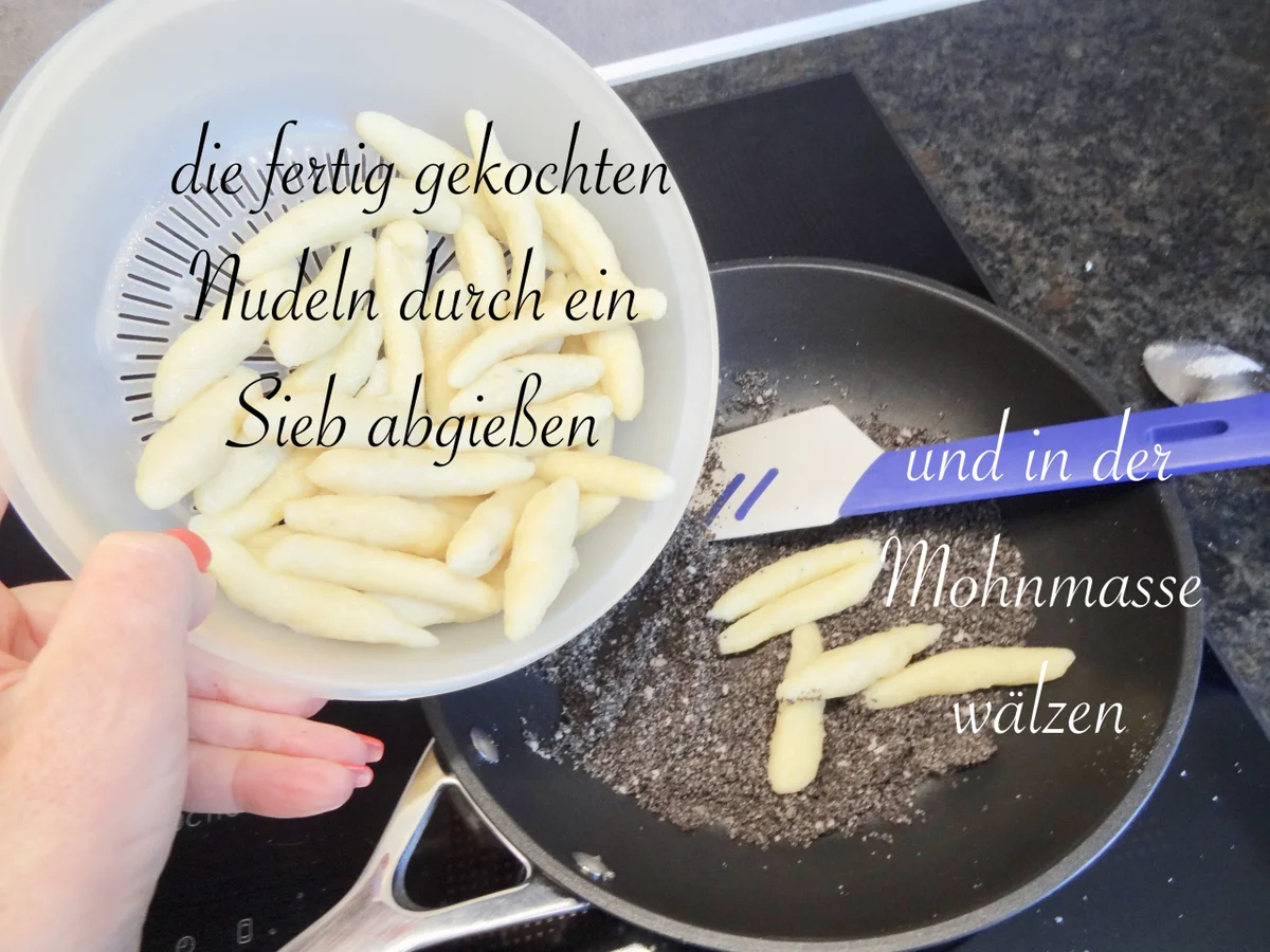 Waldviertler Mohn Nudeln - Rezept - Bild Nr. 17018