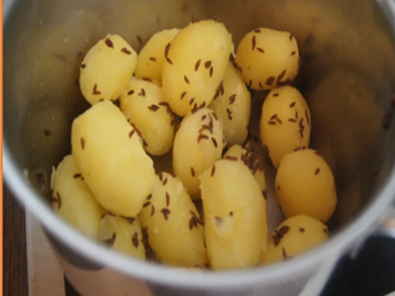 Rezept: Heringsfilet in Sahnesauce mit Kümmel-Pellkartoffel-Drillingen und Gurkensalat Bild Nr. 5 Heringsfilet in Sahnesauce mit Kümmel-Pellkartoffel-Drillingen und Gurkensalat - Rezept - Bild Nr. 5