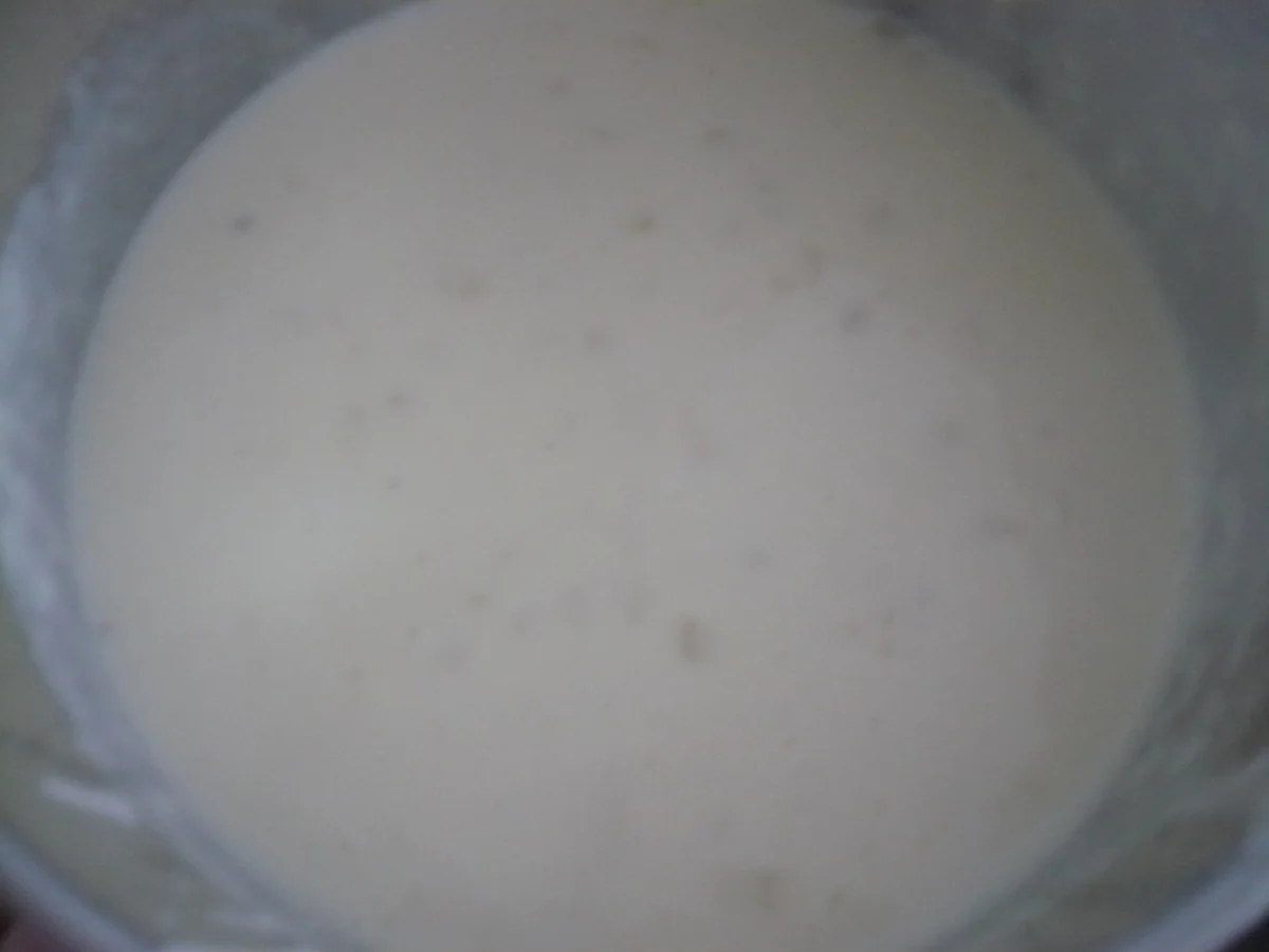 Rezept: Fenchel - Gratin Bild Nr. 17044 Fenchel - Gratin - Rezept - Bild Nr. 17044