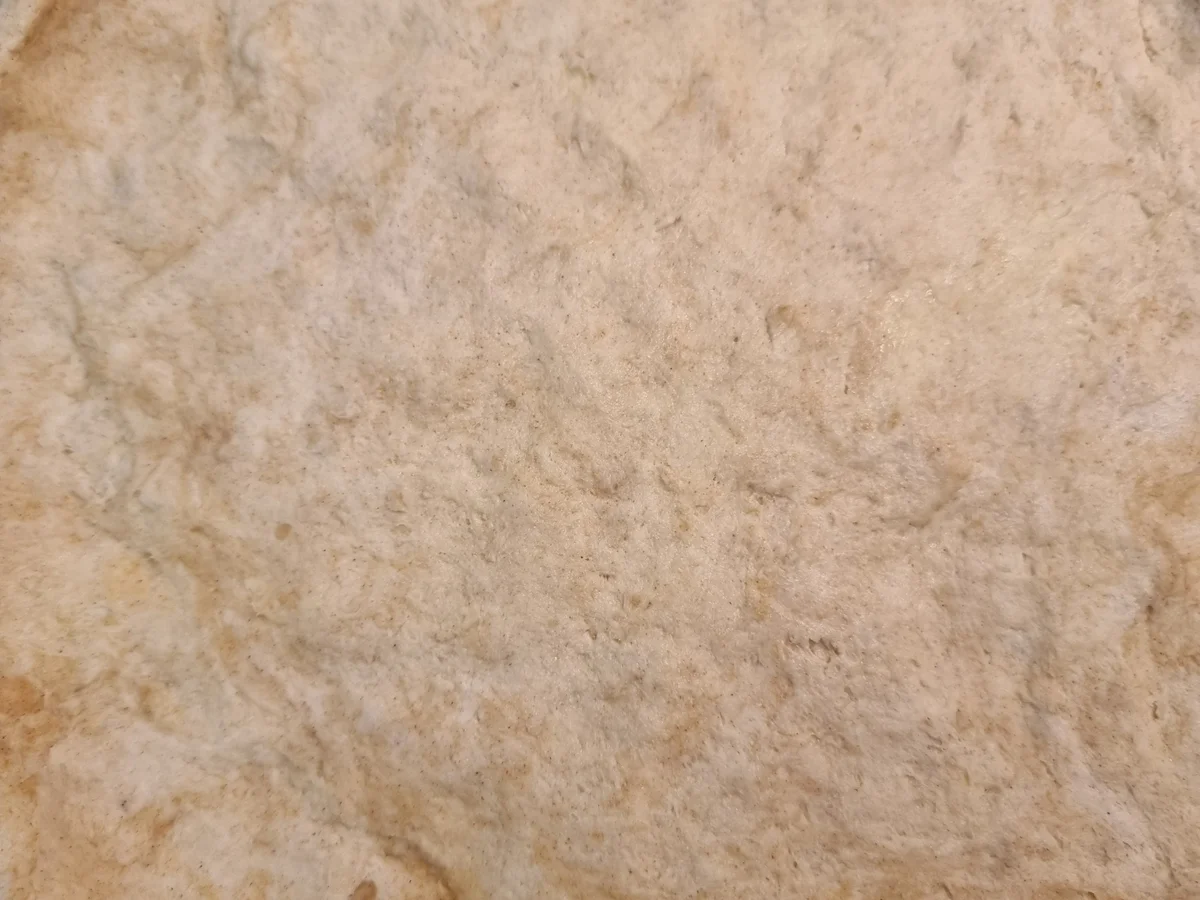 Spargel-Tarte mit Quinoa - Rezept - Bild Nr. 17025