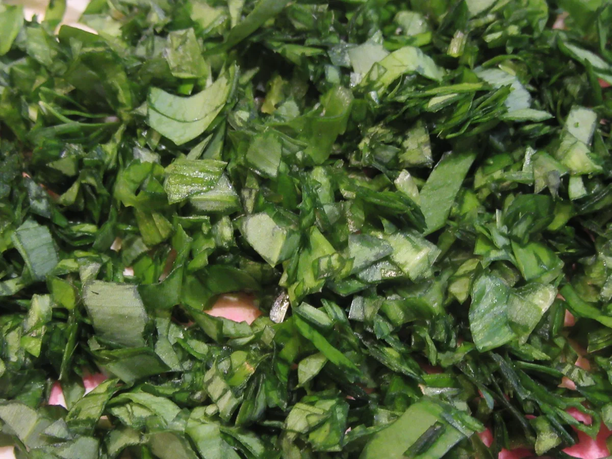 Soßen: Bärlauchsoße - Rezept - Bild Nr. 17027