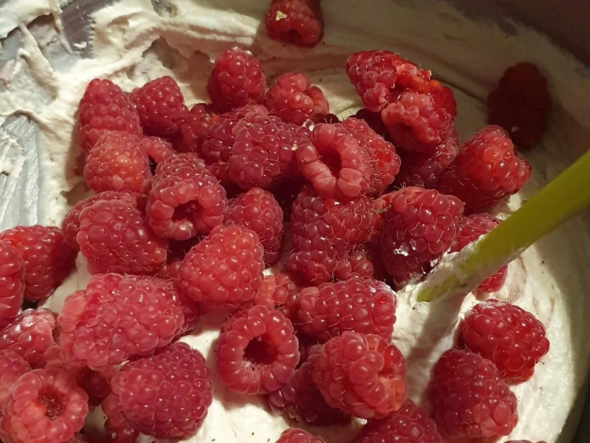 Rezept: Himbeer Total ist eine besondere fruchtige Torte Bild Nr. 17046 Himbeer Total ist eine besondere fruchtige Torte - Rezept - Bild Nr. 17046