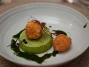 Erbsenflan mit Minzpesto und frittiertes Onsen Ei - Rezept - Bild Nr. 17037