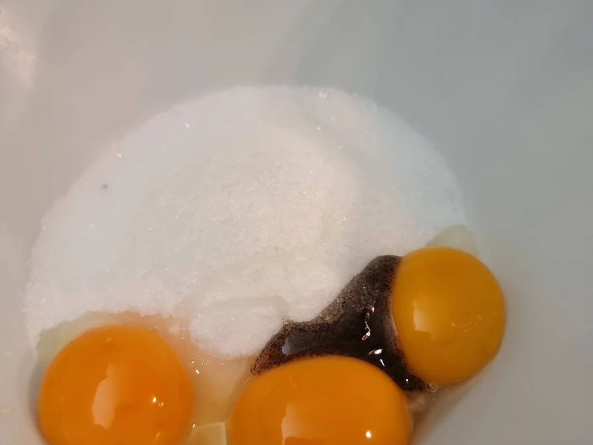 Travel Cake mit Mousse au Chocolat - Rezept - Bild Nr. 17047