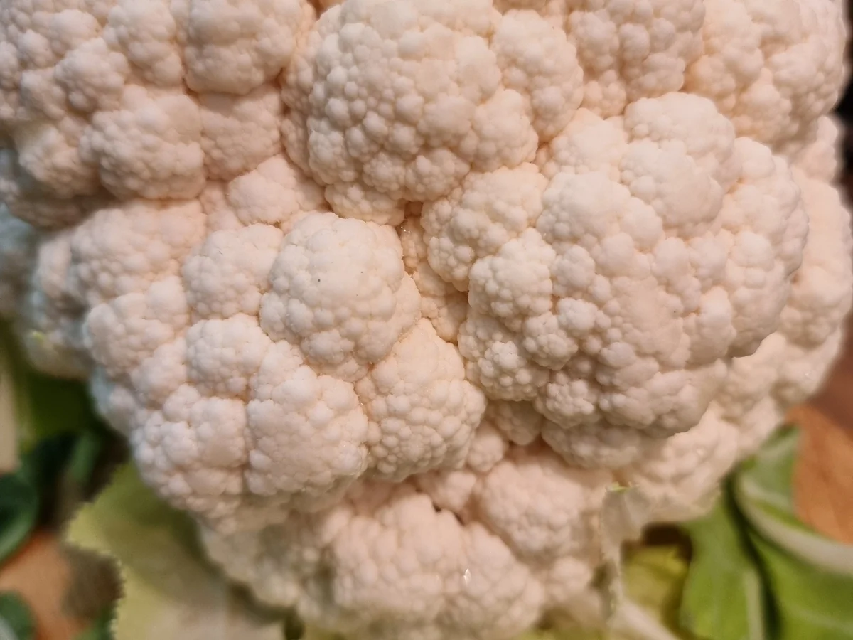 Pizza"Prosciutto" - Rezept - Bild Nr. 17047