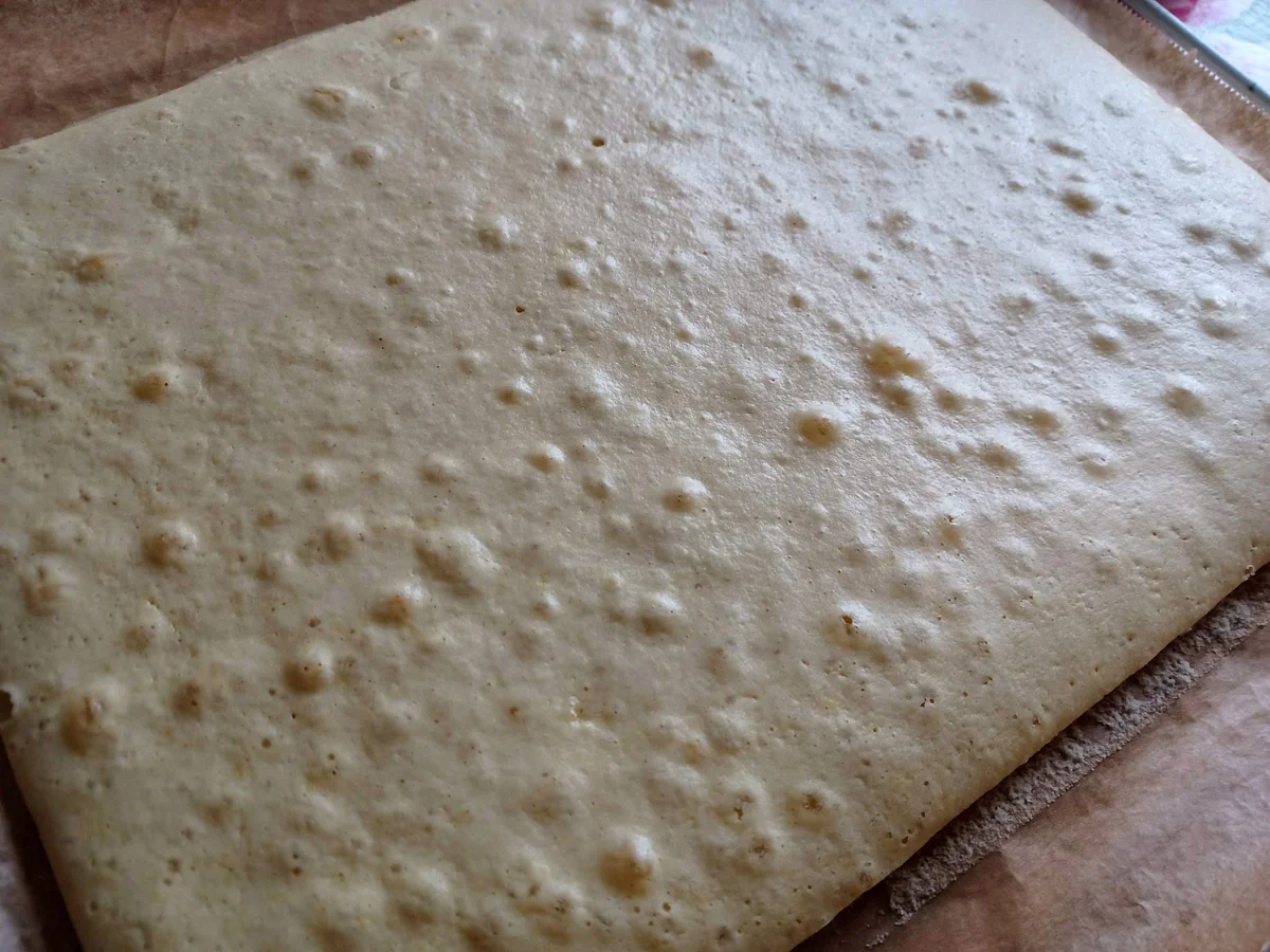 Rezept: Erdbeerschnitte Bild Nr. 17050 Erdbeerschnitte - Rezept - Bild Nr. 17050