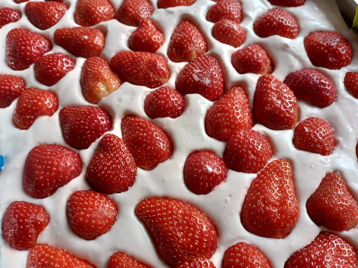 Rezept: Erdbeerschnitte Bild Nr. 17058 Erdbeerschnitte - Rezept - Bild Nr. 17058