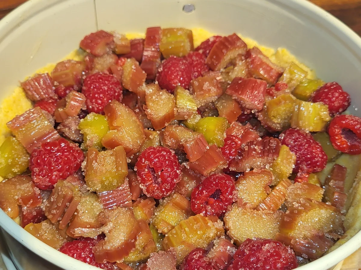 BiNe` S RHABARBER - HIMBEER CRUMBLE KUCHEN - Rezept - Bild Nr. 17053