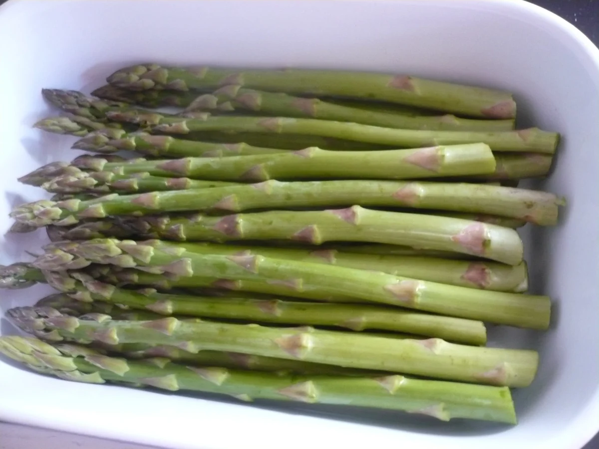 Rezept: Gratinierter Spargel Bild Nr. 3 Gratinierter Spargel - Rezept - Bild Nr. 3