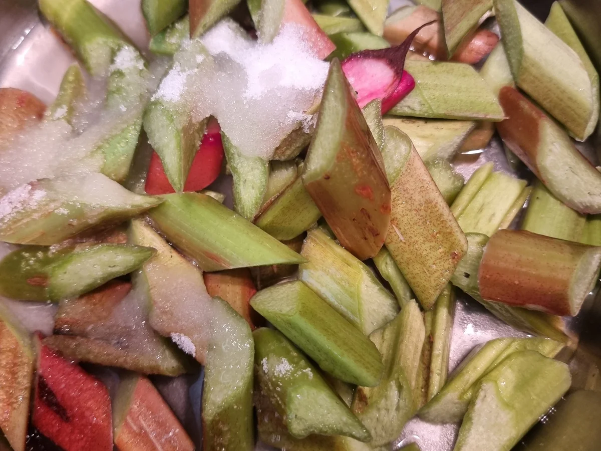 Rhabarber-Baiser-Tarte - Rezept - Bild Nr. 17055